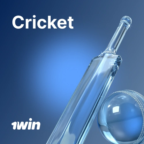 Discover live cricket betting markets and competitive odds at 1win India.
